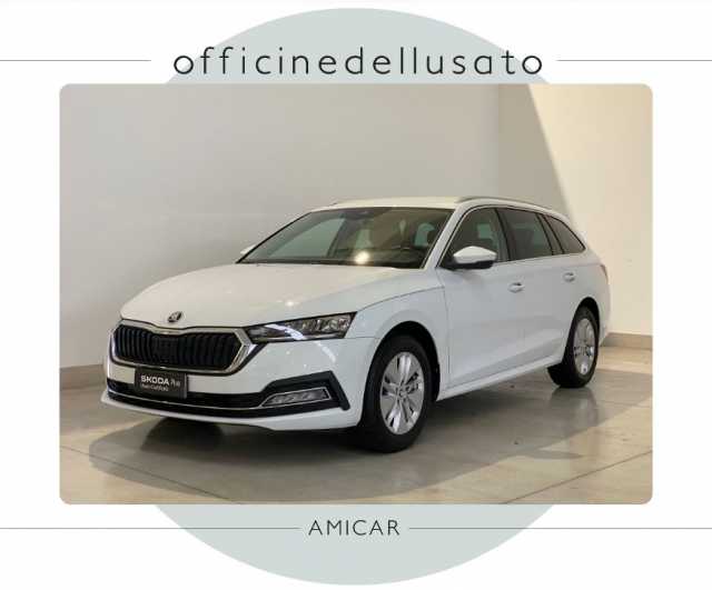https://cdn-media.caraffinity.it/dealers/partner/amicar-usato-it/kfz115036582_2.jpg?format=jpeg